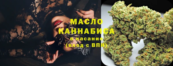 молекула духа Каменногорск