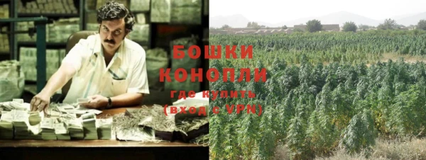 кокс Инта