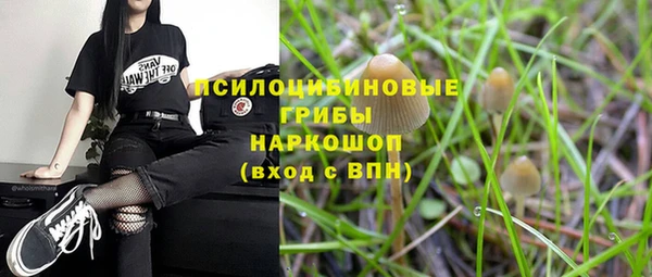 кокс Инта